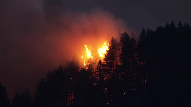 Large forest fire burns the tree covered side of a mountain in Oregon