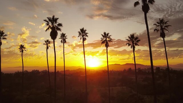 Aerial shot of dramatic clouds and the setting sun behind a row of palm trees. Los Angeles California.
