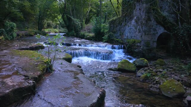 Landscape along a river near San Pedro del Romeral. Pas-Miera region. Pasiegos Valleys. Cantabria. Spain. Europe