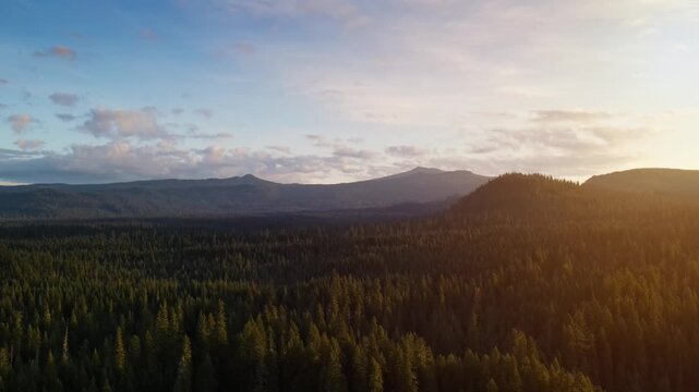 Flying over a mountainside forest in Southern Oregon at dawn