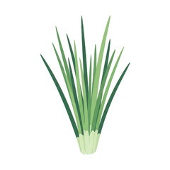 Obraz premium Green tropical grass stalks botanical illustration with eco friendly