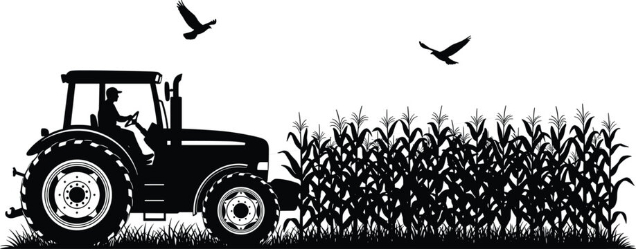 Silhouette illustration of a farmer driving a tractor through a corn field during harvest season
