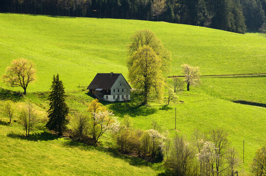 Paisaje de colinas verdes en Sankt Peter en la Selva Negra, Alemania