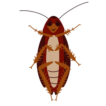 Illustration of cockroach 