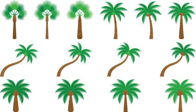 Flat Design Tropical Palm Tree Vector Icon Set Featuring Leaning Coconut Palms and Fan Palms for Summer Vacation and Beach Resort Graphic Layouts