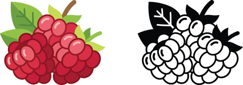 Raspberry Clipart PNG | Color & Black Outline Raspberry Vector Illustration | Berry Fruit Clipart for Sublimation, Coloring Pages, Stickers & Commercial Use