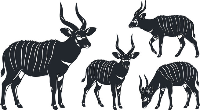 Majestic African Kudu Silhouette Illustration Collection with Spiral Horns for Safari Wilderness Theme Graphics and Zoo Logos