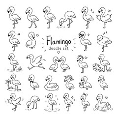 Obraz premium Flamingo doodles set. Hand drawn vector doodle set on white background
