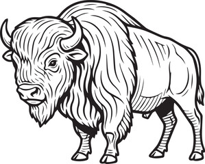 Obraz premium American Bison, Intricate Line Work black and white vector illustration 