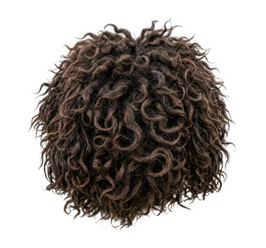 Top view of a dark brown curly wig isolated on transparent background