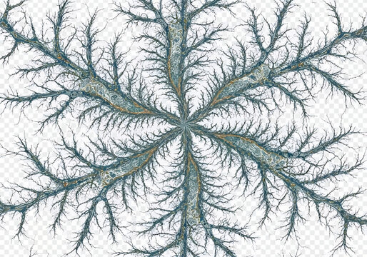 Abstract fractal pattern resembling tree branches or lightning