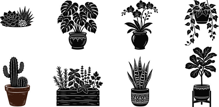 Houseplants and potted indoor greenery vector silhouette icon set featuring monstera cactus orchid snake plant herbs and fiddle leaf fig image_3a71a3.png vector illustration