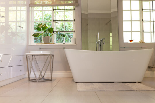 Freestanding white tub is sitting on plush rug near windows with chrome filler and plant