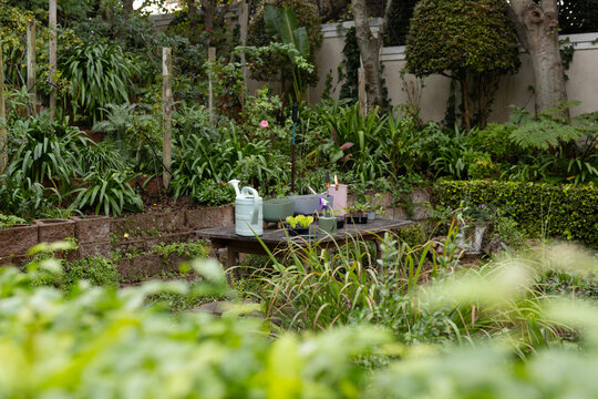 Wooden potting table is sitting by backyard wall holding green and pink watering cans, seed trays
