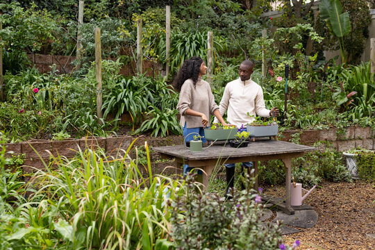 African American couple working at potting table in home garden, planting seedlings using tools
