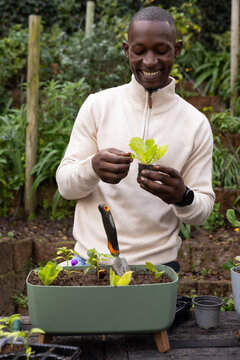 African adult male wearing beige zip sweater trimming seedling over wooden table with planter