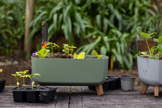 Rectangular sage-green planter sitting on wooden deck with seedlings and hand trowel upright