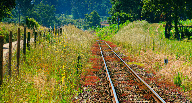 railroad tracks in the countryside