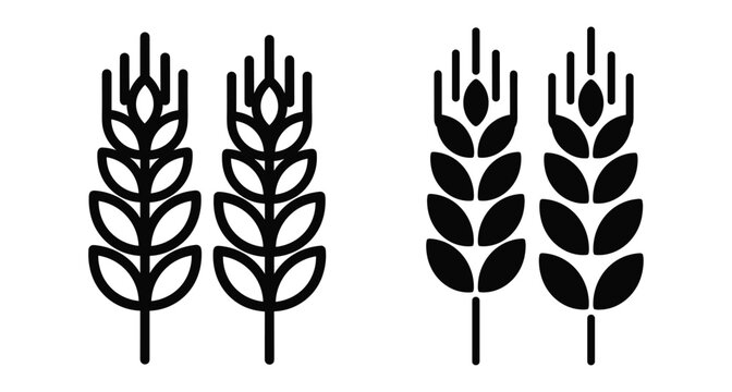 Wheat grain ear icons set with outline and solid silhouette styles for agriculture bakery organic food and harvest design elements