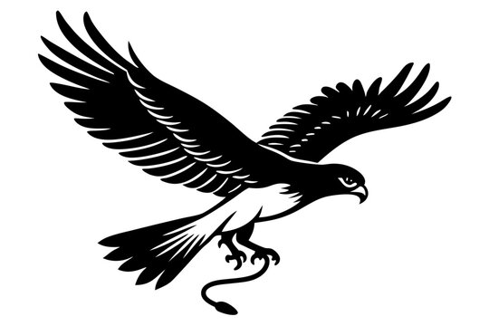 Flying Hawk Attack Pose Outline Vector Illustration with Detailed Line Drawing