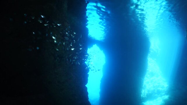 cave diving underwater exploring caves with fish ocean scenery sun beams and rays background scuba divers to explore