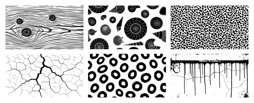 Texture set featuring wood grain ammonite shells ground cracks and paint drips monochrome style