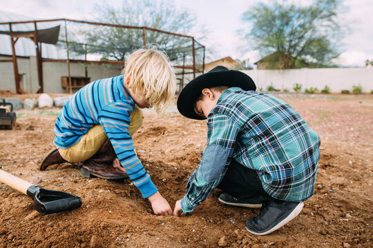Boys Playing in Dirt with Chicken Coop in Desert Backyard