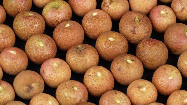 Top-down macro shot of neatly arranged round ripe longan fruits creating a seamless rotating pattern.