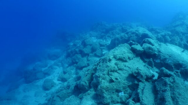 amphora pieces underwater ancient antic amphoras scuba divers to explore and discover deep water