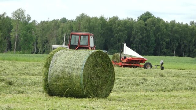 Old tractor pulls a bale wrapper across a cut grass field, wrapping a round hay bale in white plastic with dense green forest in the background. Plani, Latvia - June, 12, 2026.