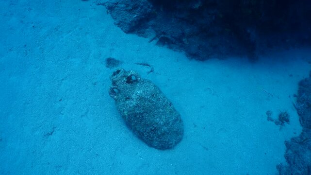 amphora pieces underwater ancient antic amphoras scuba divers to explore and discover deep water