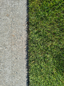 Lawn Edging and Sidewalk Create a Clear Path in the Garden Yard