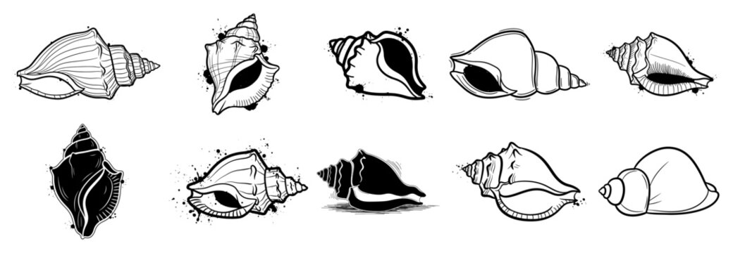 Sacred conch shells and shankha symbols set in stylized line art with ink splatters