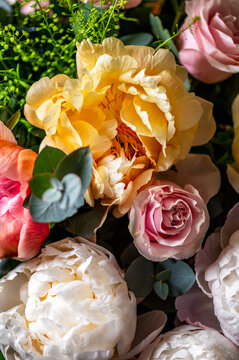 Macro shot of fresh bunch of peonies bouquet of different colors. Card Concept, gentle abstract floral background image, close up, shallow DoF