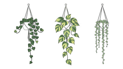 Hanging Houseplants Vector Icon Set © Four