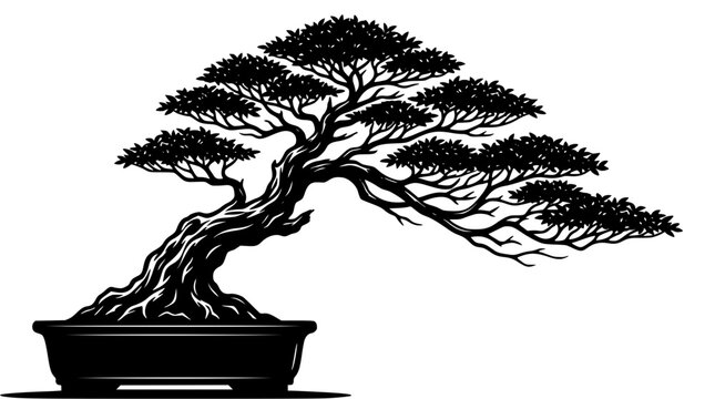 Detailed Japanese bonsai tree black silhouette vector illustration in a pot for zen garden wellness and oriental decoration design concepts.