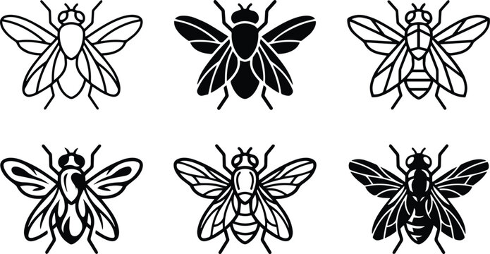 House fly insect pest control icon collection showing macro parasitic bug flying wing details infestation management hygiene threat and nature vector silhouette
