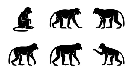 Proboscis monkey silhouettes, black vector monkey icons, long-nosed primate animal graphics, wildlife illustration set © MdJahid