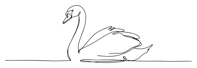 vector monoline engraving of swan swimming on water © Wieslaw