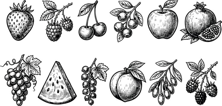An intricate collection of hand-drawn botanical fruit illustrations featuring strawberries, raspberries, cherries, blueberries, apples, pomegranates, grapes, watermelon, currants, peaches, goji berrie