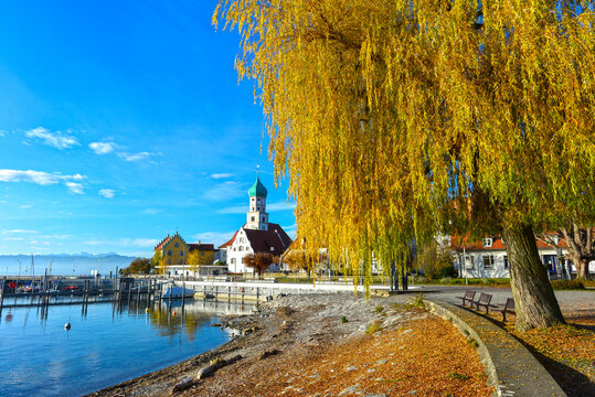 Herbstliche Uferpromenade in Wasserburg am Bodensee mit goldener Trauerweide und Kirche St. Georg