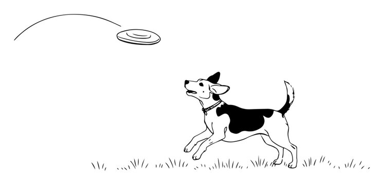 dog jumping for frisbee monoline vector