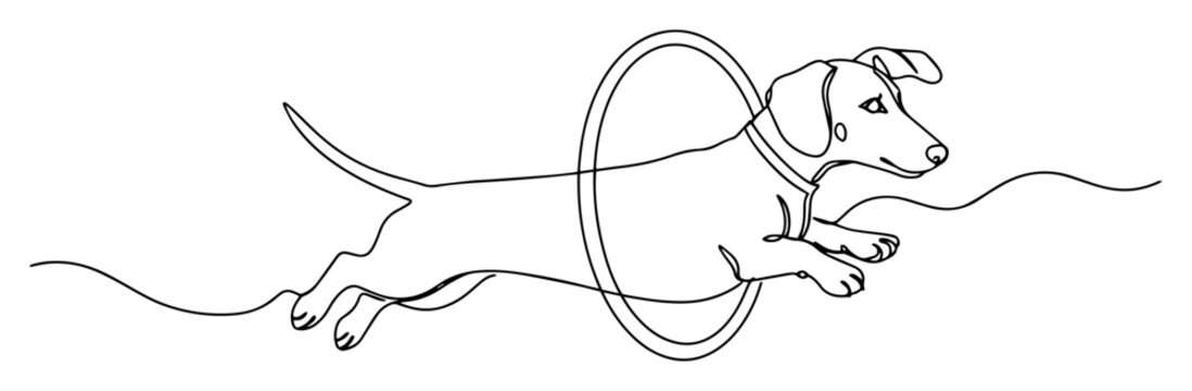 dog jumping through hoop monoline vector