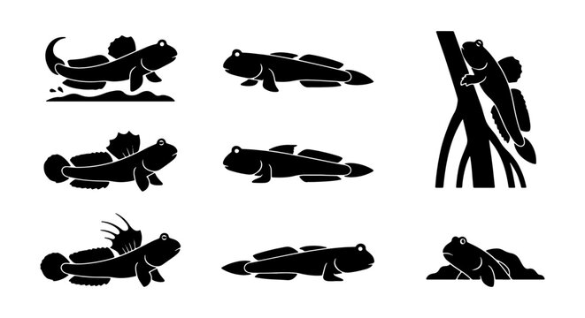 Mudskipper Fish Icon Set, Aquatic Amphibious Creature Vector Graphics, Marine Life Illustrations, Wildlife Silhouette Collection
