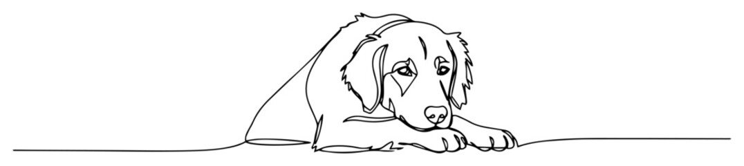 puppy resting head down illustration black vector thin line on white background © Wieslaw