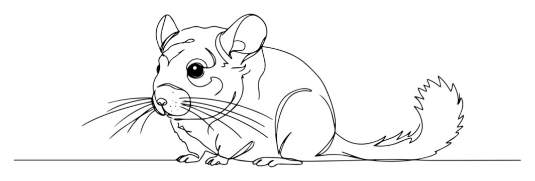 chinchilla sitting illustration engraving monoline vector