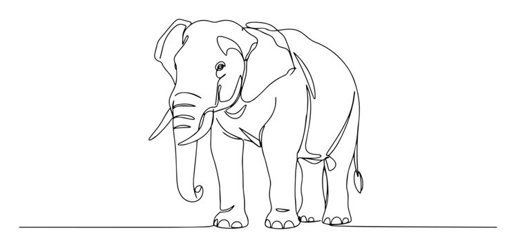 elephant front view black vector thin line on white background