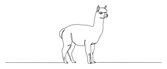 Fototapeta premium alpaca standing side profile black vector thin line on white background