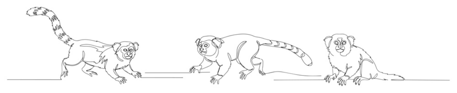 three lemurs running in row engraving oneline vector