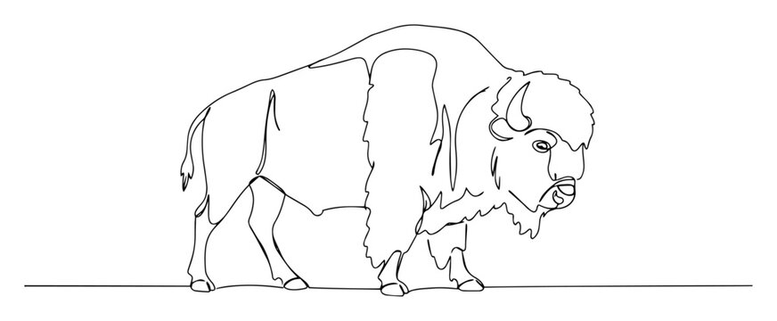 american bison walking side profile engraving oneline vector